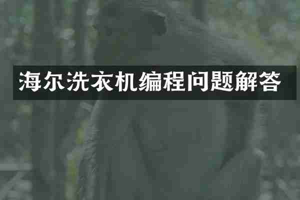 海尔洗衣机编程问题解答