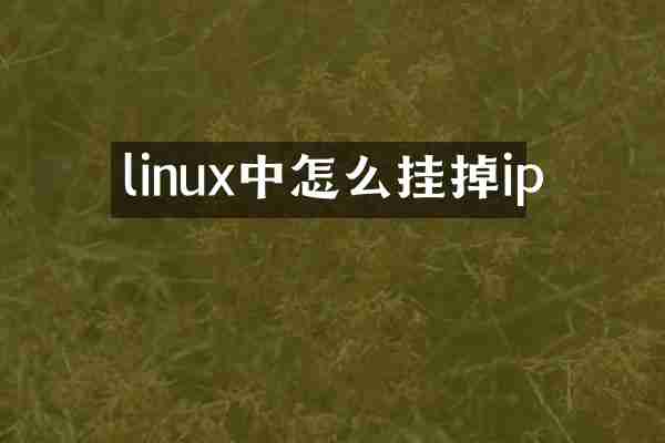 linux中怎么挂掉ip