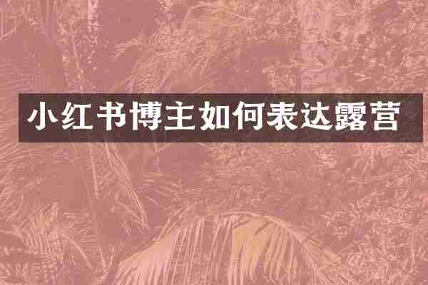 小红书博主如何表达露营