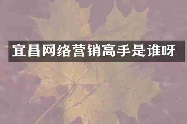 宜昌网络营销高手是谁呀