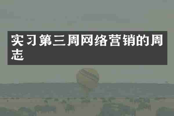 实习第三周网络营销的周志