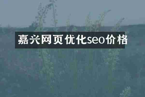 嘉兴网页优化seo价格