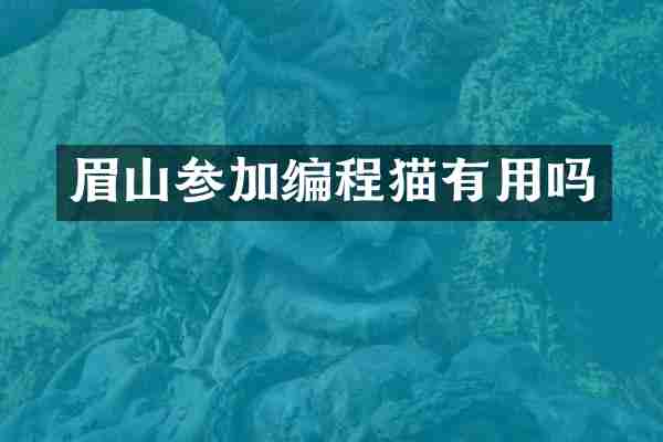 眉山参加编程猫有用吗