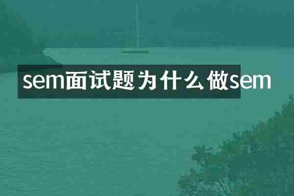 sem面试题为什么做sem