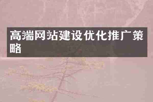 高端网站建设优化推广策略