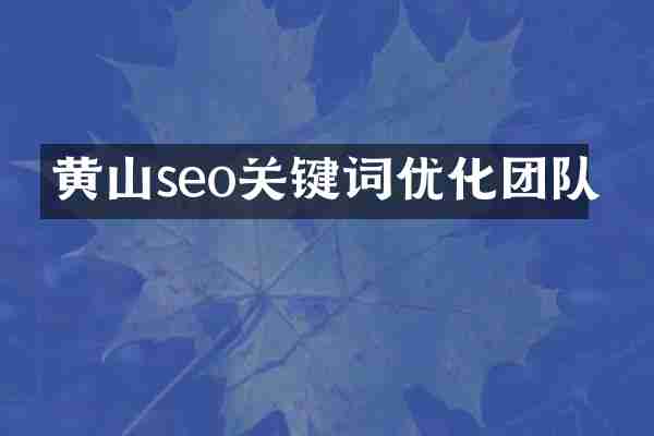 黄山seo关键词优化团队