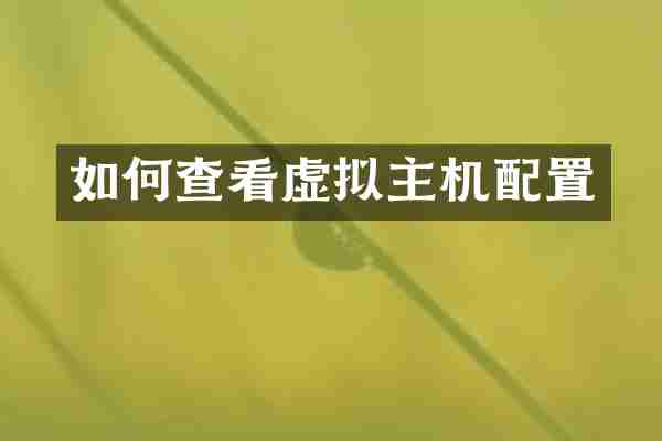 如何查看虚拟主机配置
