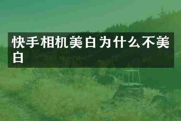 快手相机美白为什么不美白