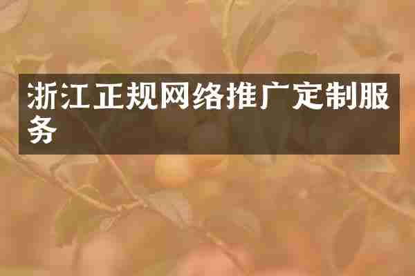 浙江正规网络推广定制服务
