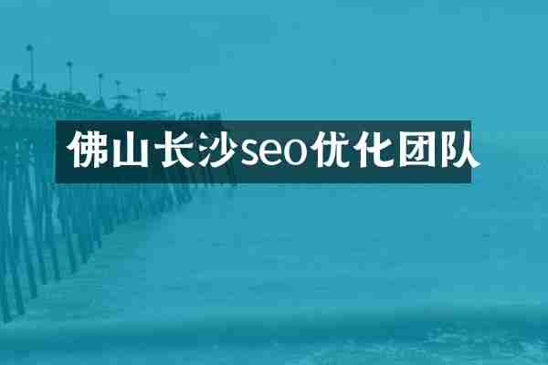 佛山长沙seo优化团队