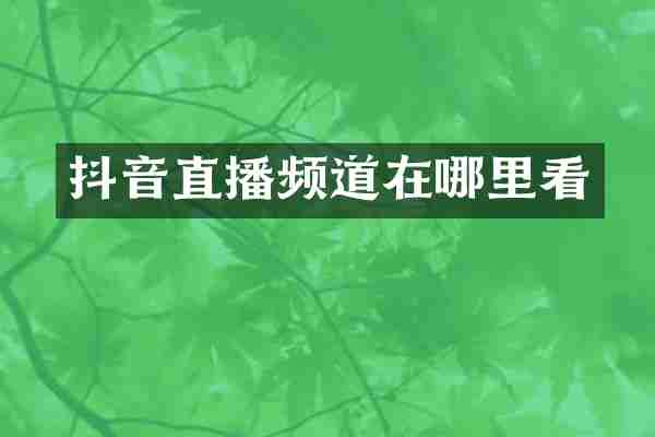 抖音直播频道在哪里看
