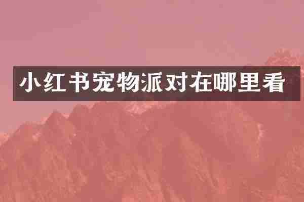 小红书宠物派对在哪里看