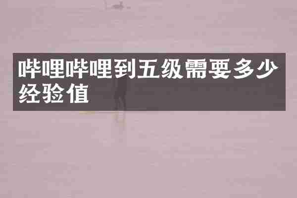 哔哩哔哩到五级需要多少经验值