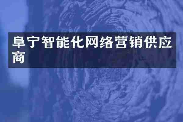 阜宁智能化网络营销供应商