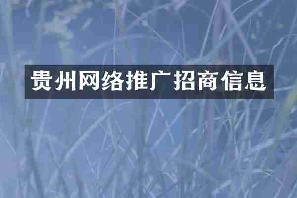 贵州网络推广招商信息