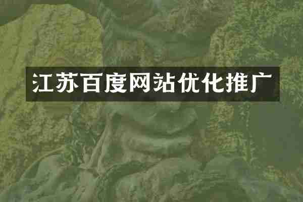 江苏百度网站优化推广