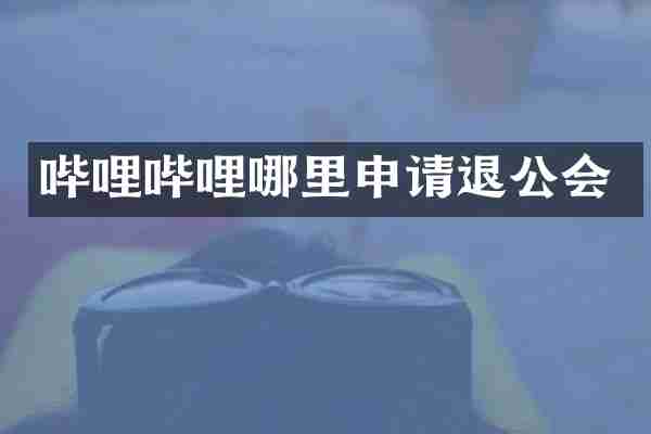 哔哩哔哩哪里申请退公会