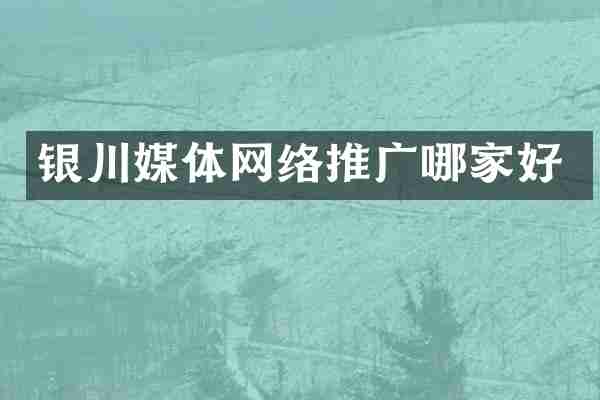 银川媒体网络推广哪家好