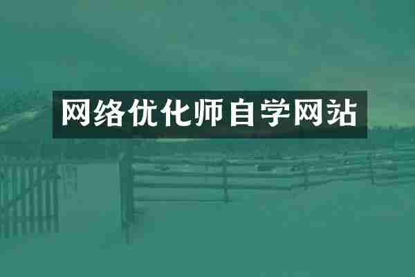 网络优化师自学网站
