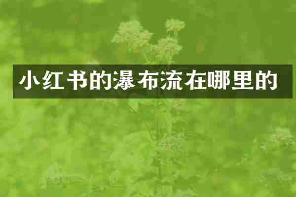 小红书的瀑布流在哪里的