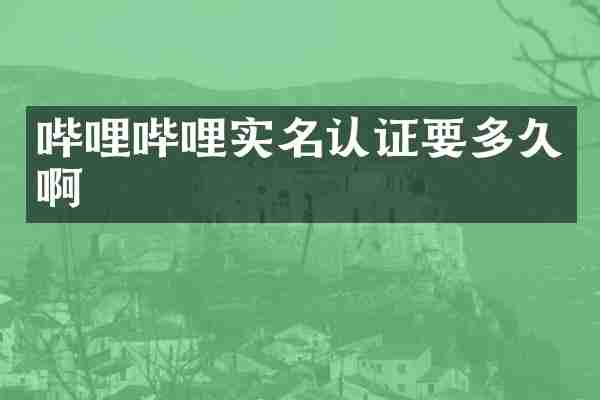 哔哩哔哩实名认证要多久啊