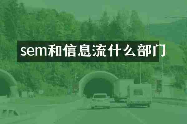 sem和信息流什么部门