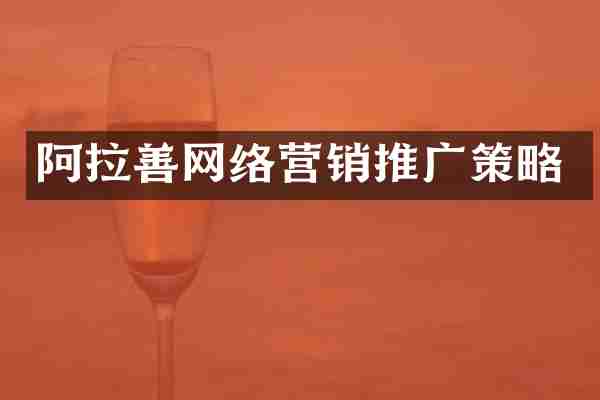 阿拉善网络营销推广策略