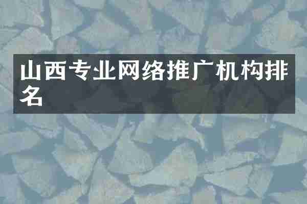 山西专业网络推广机构排名