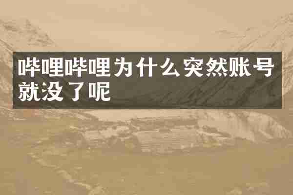 哔哩哔哩为什么突然账号就没了呢