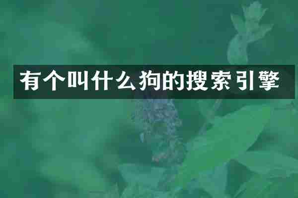 有个叫什么狗的搜索引擎