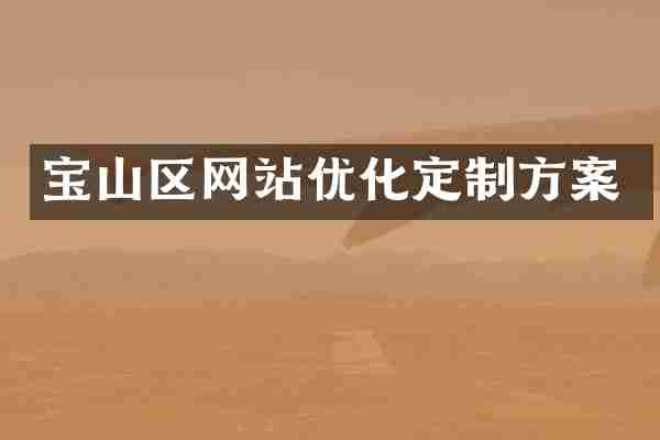 宝山区网站优化定制方案