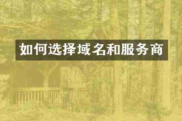 如何选择域名和服务商