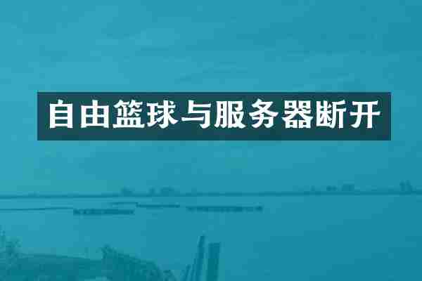 自由篮球与服务器断开