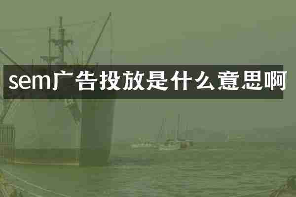 sem广告投放是什么意思啊