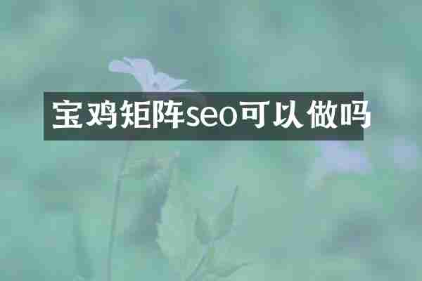 宝鸡矩阵seo可以做吗