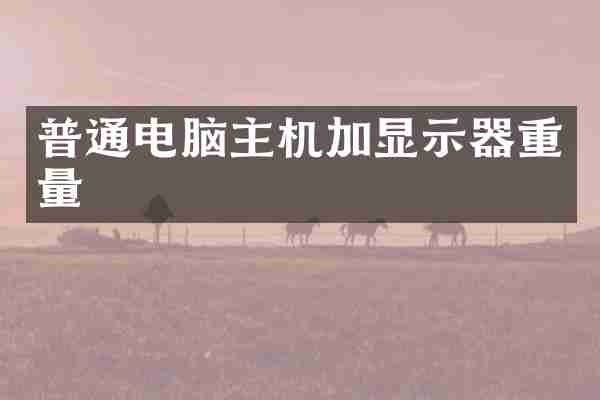 普通电脑主机加显示器重量