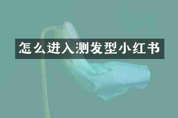 怎么进入测发型小红书