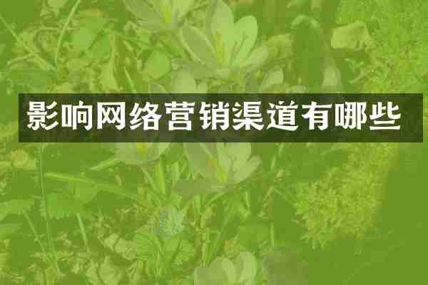 影响网络营销渠道有哪些