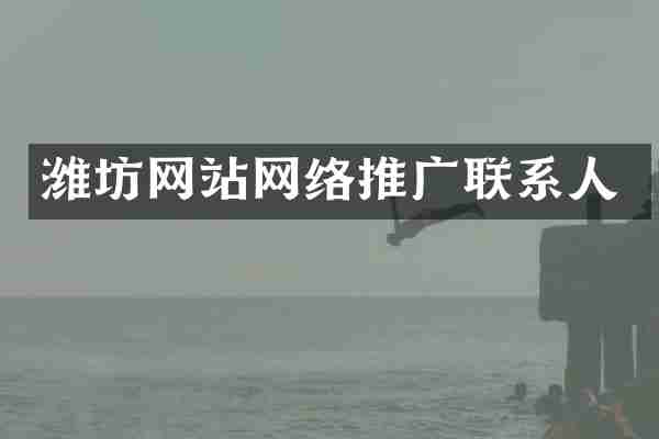 潍坊网站网络推广联系人