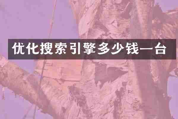 优化搜索引擎多少钱一台