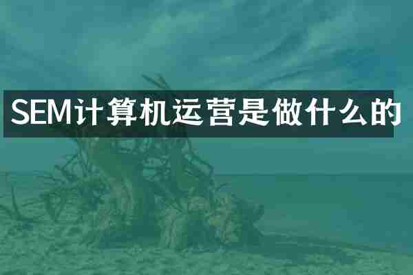 SEM计算机运营是做什么的