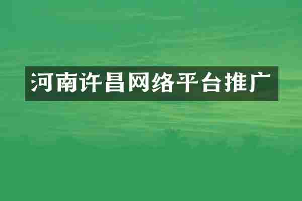 河南许昌网络平台推广