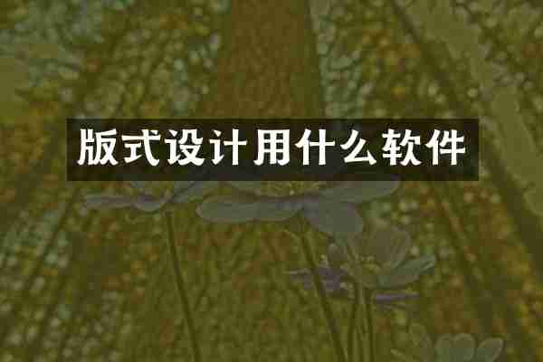 版式设计用什么软件