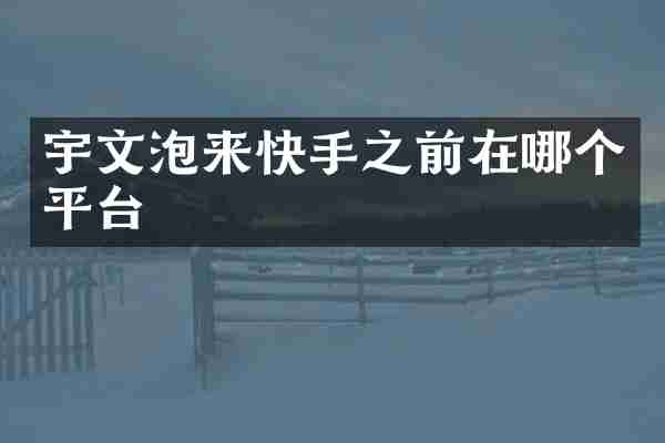 宇文泡来快手之前在哪个平台