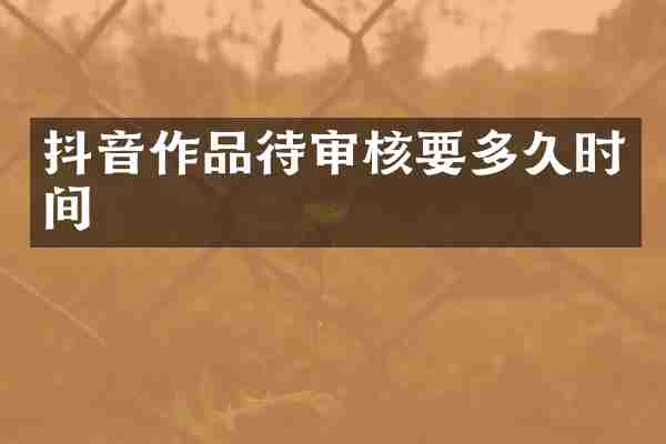 抖音作品待审核要多久时间