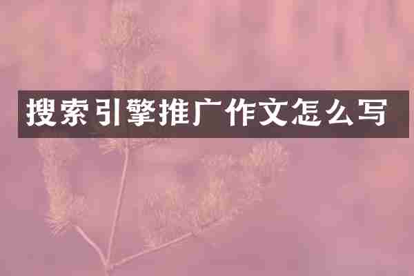 搜索引擎推广作文怎么写