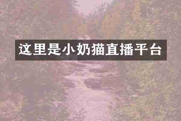 这里是小奶猫直播平台