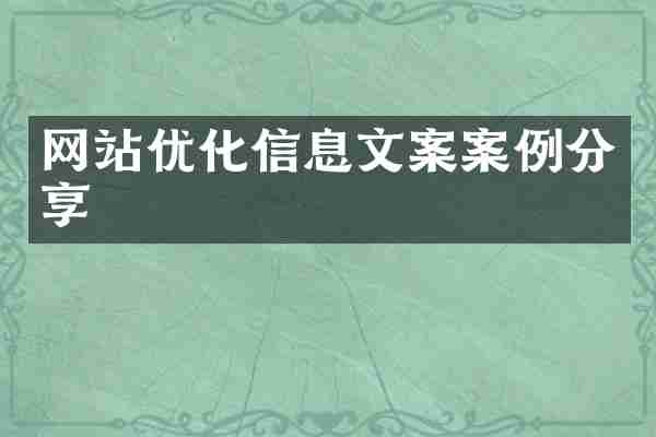 网站优化信息文案案例分享