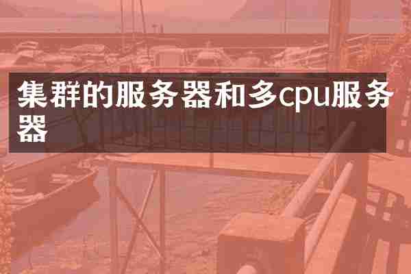 集群的服务器和多cpu服务器