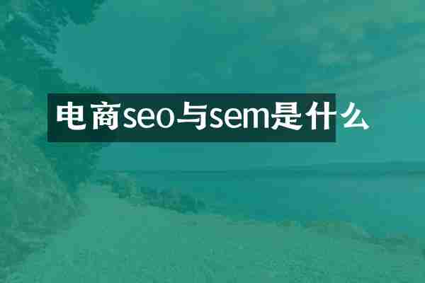 电商seo与sem是什么